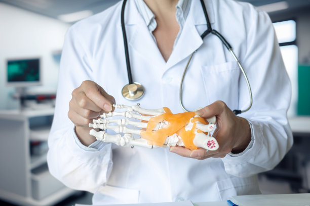 医生正在展示脚踝的解剖结构。图片下载