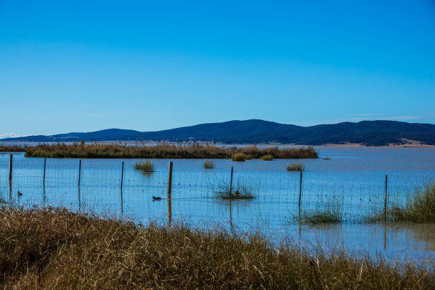 这张照片是在乔治湖拍摄的，展示了湖边的风景图片下载