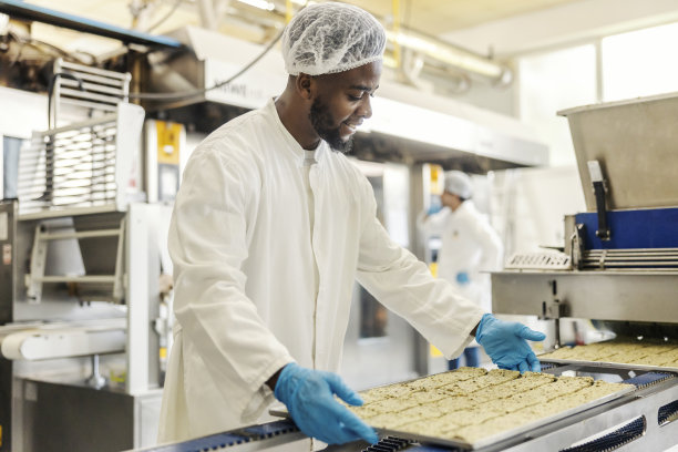 不同食品厂的面包师将生饼干放入烘培机。图片下载