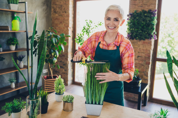 漂亮的高级女花店员工的照片肖像剪枝修剪室内植物护理穿围裙工作花店送货图片下载