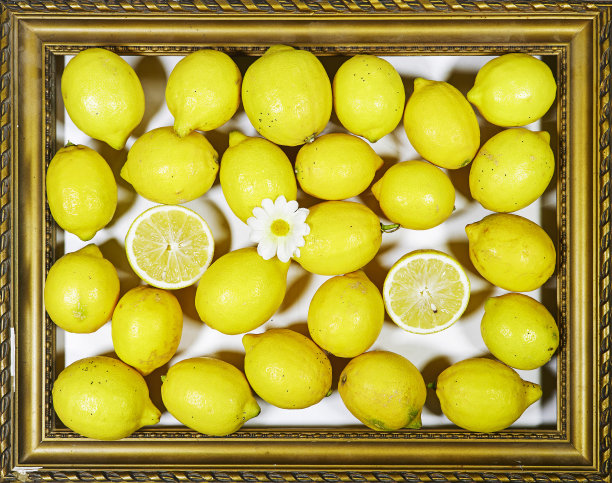 生活方式的照片新鲜柠檬与雏菊花在黄金华丽的相框图片下载