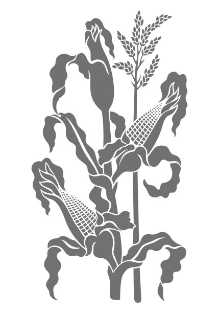 中国传统木雕图案——玉米图片下载