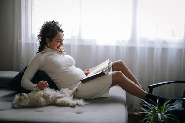 一位年轻的孕妇坐在公寓的沙发上看书，她的宠物狗和她在一起图片下载