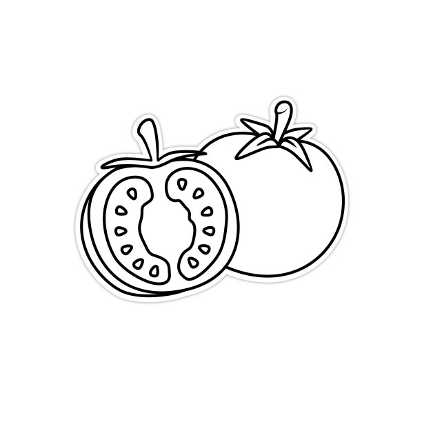 矢量插图红番茄显示横截面旁边的整个番茄黑色和白色绘图为孩子们学习根据图片的颜色。图片下载