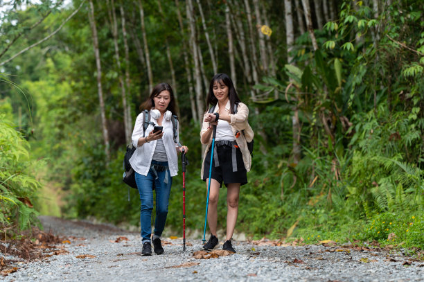 慢生活亚洲女性使用小工具搜索地图在森林库存照片图片下载