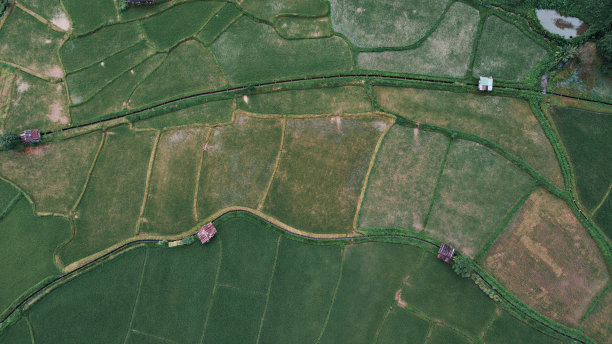 道路鸟瞰图。水稻农场路的俯视图。日落时街道的俯视图。图片下载