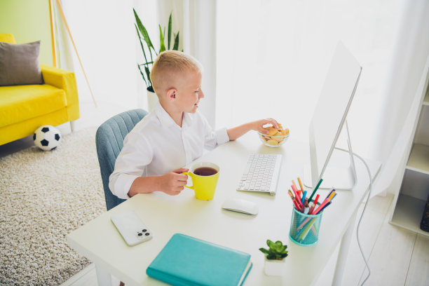 可爱开朗男孩的照片学习者在家学习放松休息远程教育现代科技室内住宅图片下载