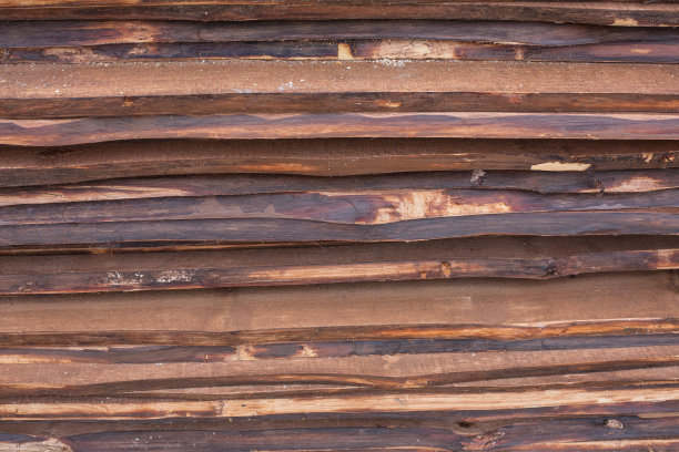 照片的背景是桃花心木图片下载