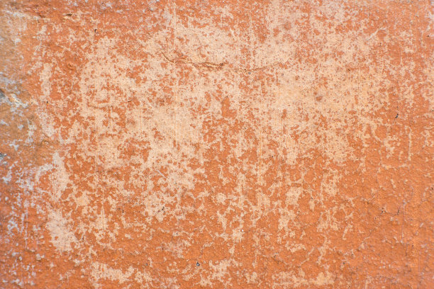 照片的背景是桃花心木图片下载