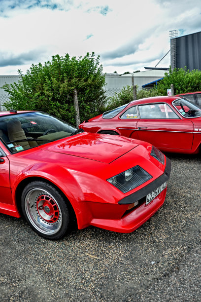 阿尔卑斯雷诺A310图片下载