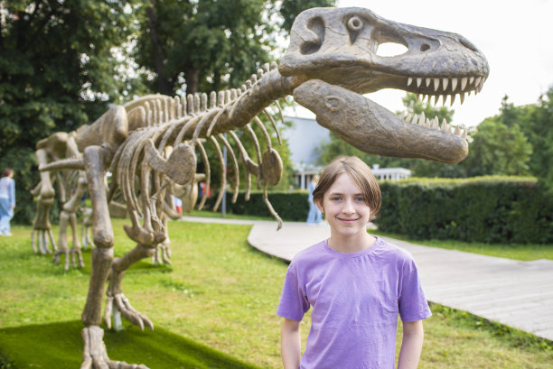 公园里，男孩在玩具恐龙骨架旁边图片下载