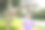 公园里，男孩在玩具恐龙骨架旁边图片下载