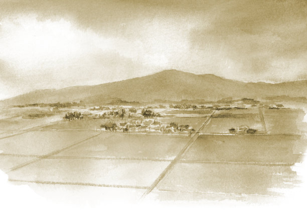 深褐色稻田景观图片下载