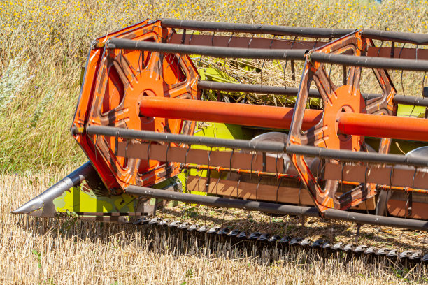 联合收割机在黑麦地里工作，收割谷物，夏季农业工作图片下载