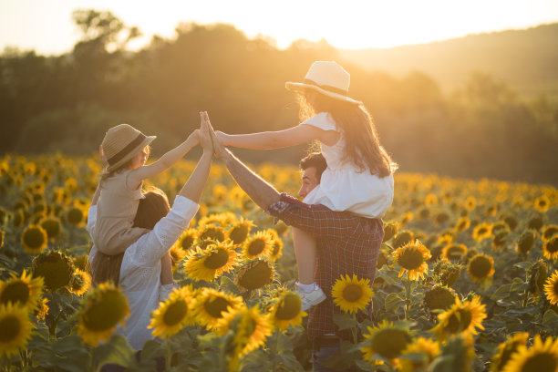 可爱的年轻家庭在向日葵农场股票照片图片下载