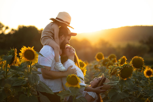 可爱的年轻家庭在向日葵农场股票照片图片下载