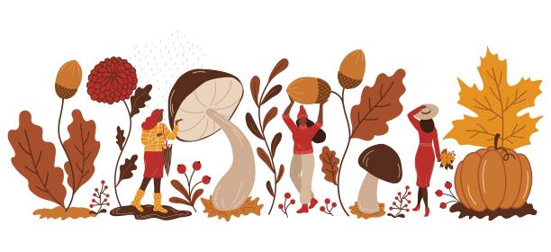 秋天的美学。秋天和女人。你好，秋天和人们在一起图片下载