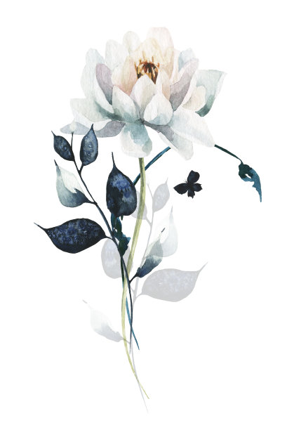 水彩花卉垂直花束。白色的荷花，深蓝的野林细枝，枝叶，蝴蝶。图片下载