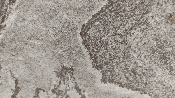 背景设计图片下载