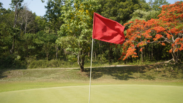 红旗上有写字的地方。图片下载