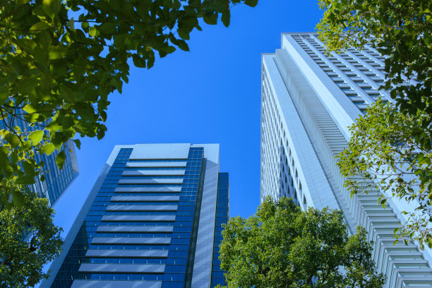 办公楼和绿树图片下载