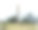 赫利奥波利斯的古埃及方尖碑，Al-Masalla方尖碑，19世纪的古照片图片下载