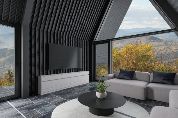 现代舒适的斯堪的纳维亚小屋客厅与黑色木墙板的内部图片下载