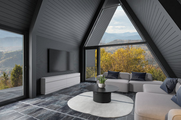 现代舒适的斯堪的纳维亚小屋客厅与黑色木墙板的内部图片下载