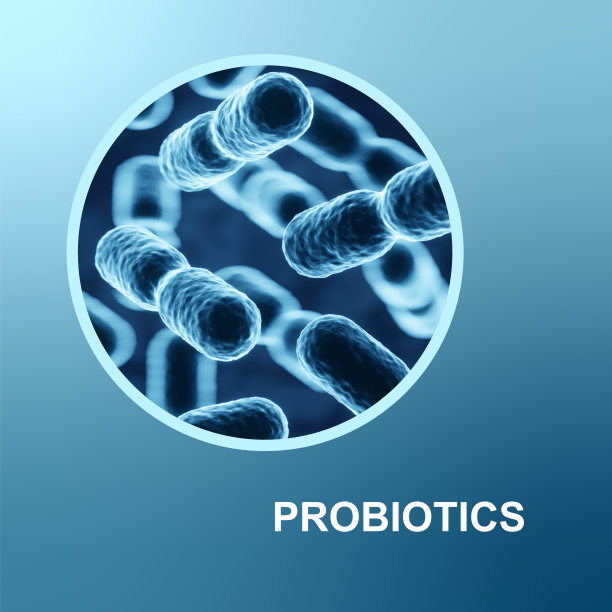 有益生物的益生菌：免疫系统中的微生物组图片下载