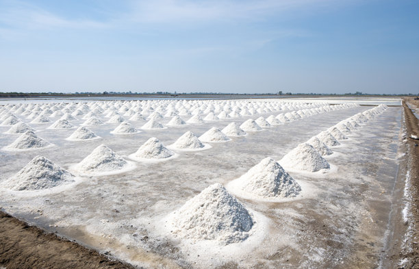 盐农场图片下载