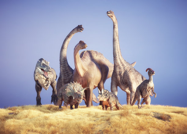 恐龙——三角龙、腕龙和鸟脚亚目恐龙在一块干燥的草地上。图片下载