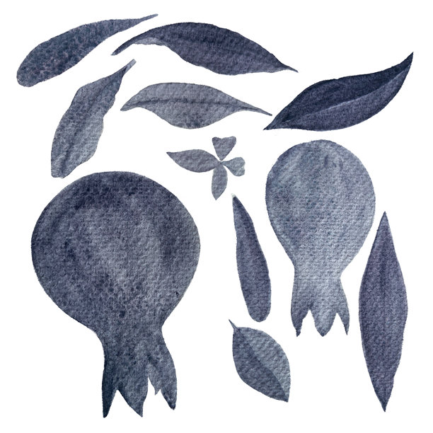 两个石榴和精致的叶子水彩灰色单色集。手画。柔和、流畅的笔触创造出和谐的色调，是美食博客、烹饪书或艺术装饰的理想选择图片下载