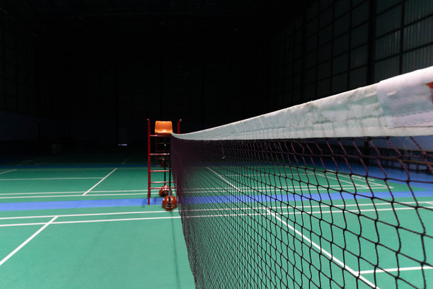 比尔顿网球场网球场室内绿地羽毛球场图片下载