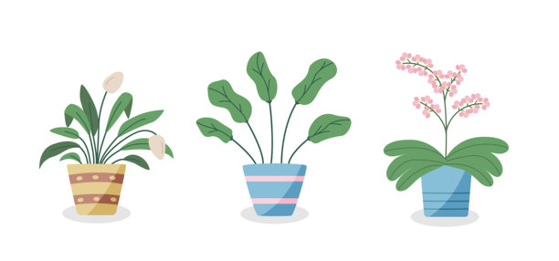 花盆里的卡通花。矢量插图的室内植物为室内。图片下载