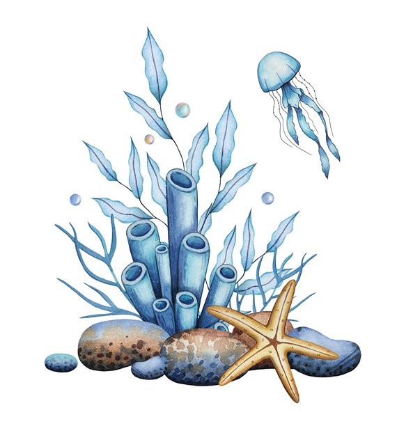 海中成分有珊瑚、石头、海星、水母。水下世界。水彩插图图片下载