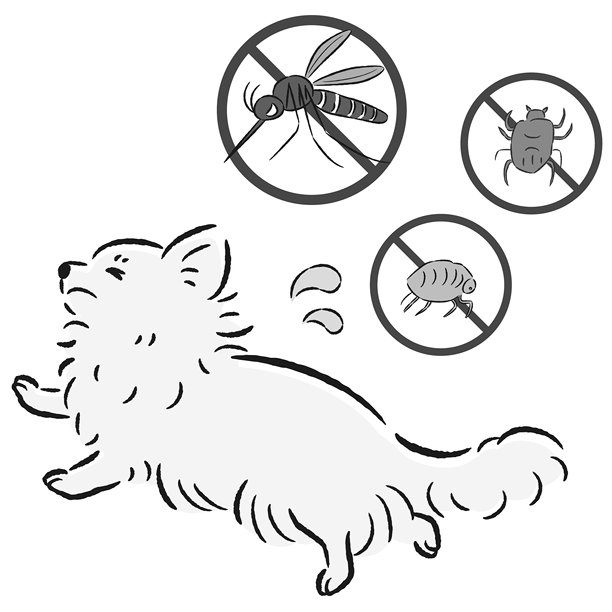 狗与害虫(蚊、蚤、蜱)插画套装图片下载