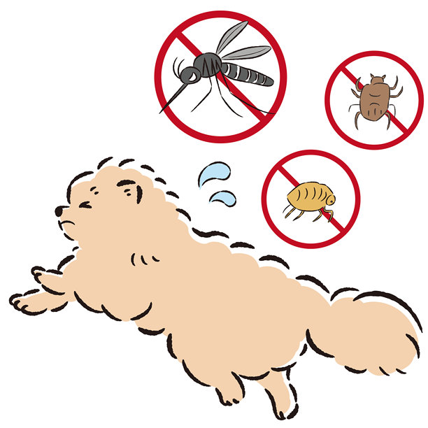 狗与害虫(蚊、蚤、蜱)插画套装图片下载