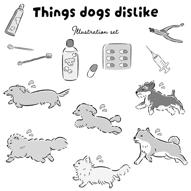 一组插图，一只狗带着不安的表情和他不喜欢的东西图片下载