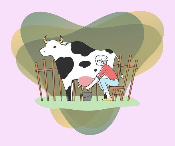 妇女奶牛平面矢量插图图片下载