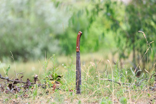 一把木柄大砍刀卡在绿草里。模糊的背景图片下载
