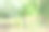 一把木柄大砍刀卡在绿草里。模糊的背景图片下载