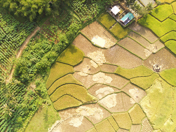 收获后的空稻田图片下载