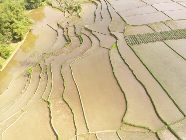 收获后的空稻田图片下载