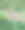 狮子图片下载