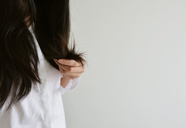 一个女人拿着她受损的发梢图片下载