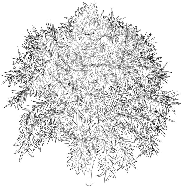 树木和植物的3D插图图片下载