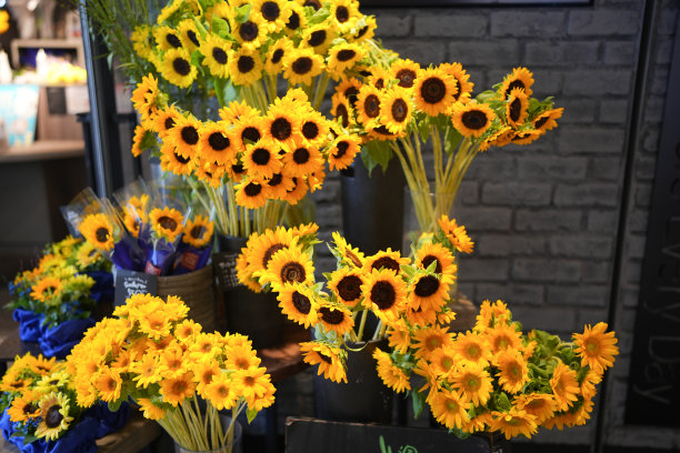 向日葵出售花店三宫站夏天神户日本图片下载