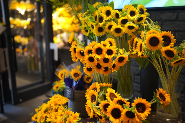 向日葵出售花店三宫站夏天神户日本图片下载