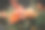 妇女在车间插花的特写照片图片下载