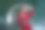 照片中优雅的女士穿着时尚的外套，手持透明的雨伞，背景是孤立的深色图片下载